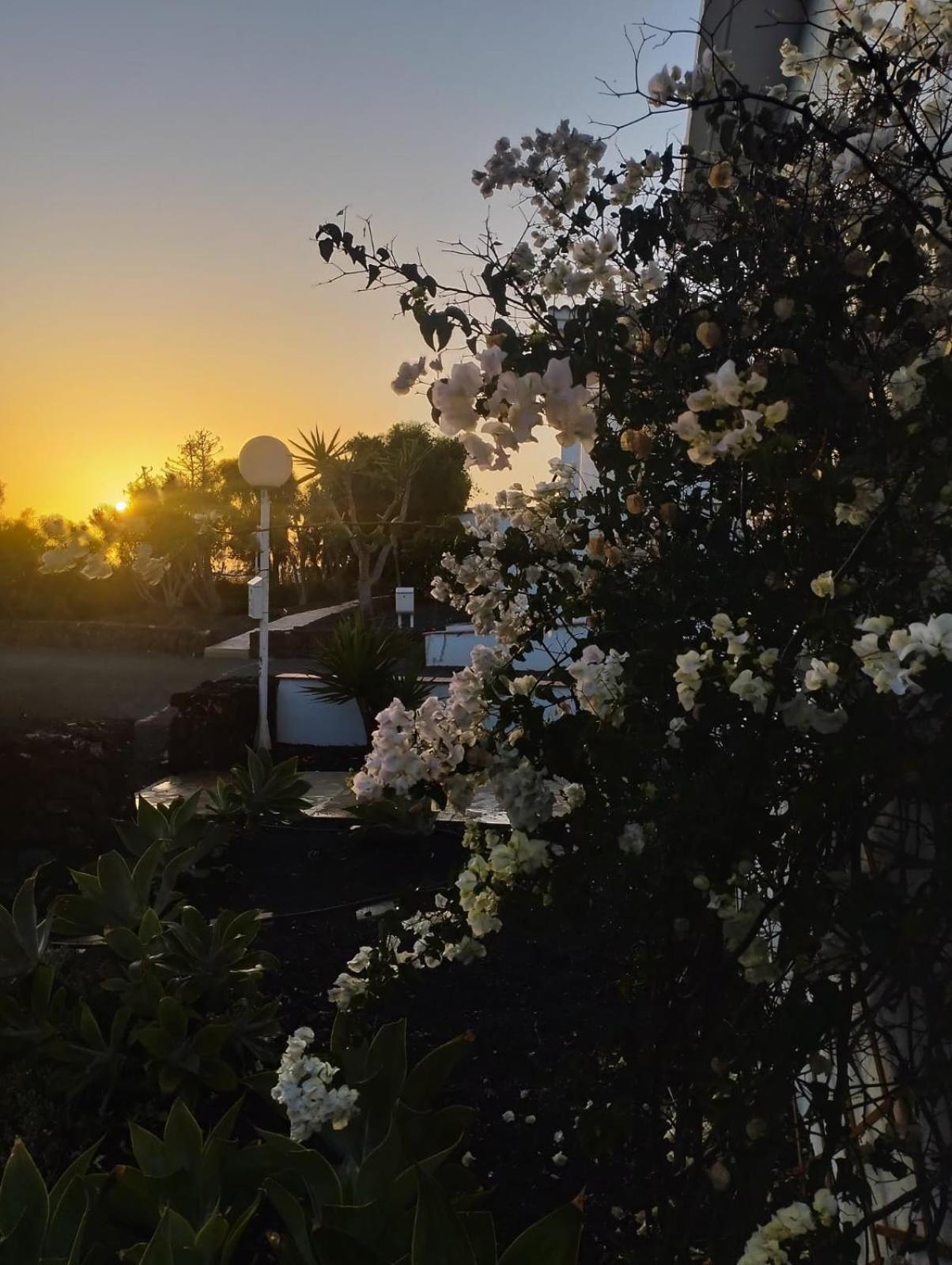 Casa Ina In El Roque, El Cotillo Dış mekan fotoğraf