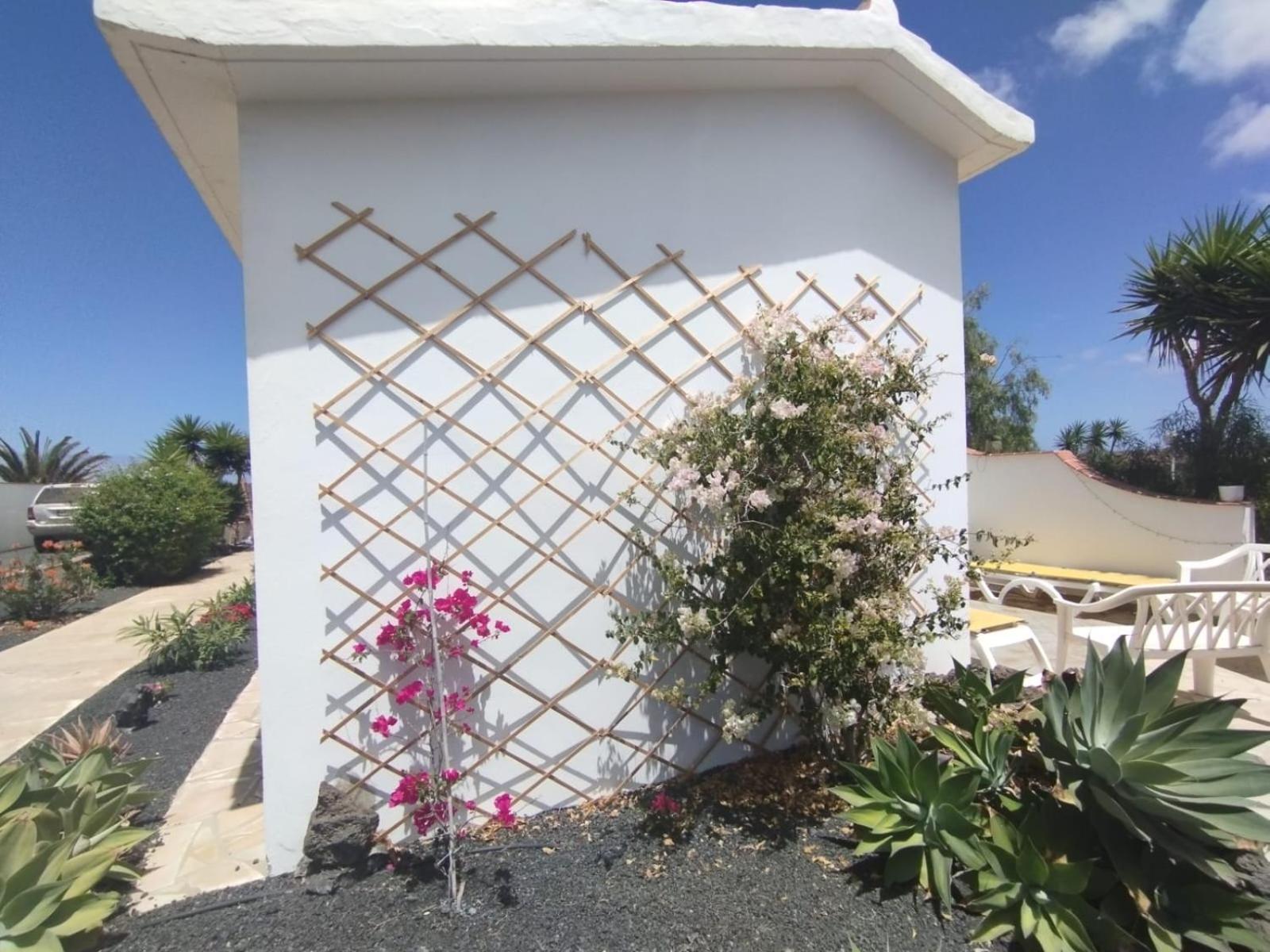 Casa Ina In El Roque, El Cotillo Dış mekan fotoğraf